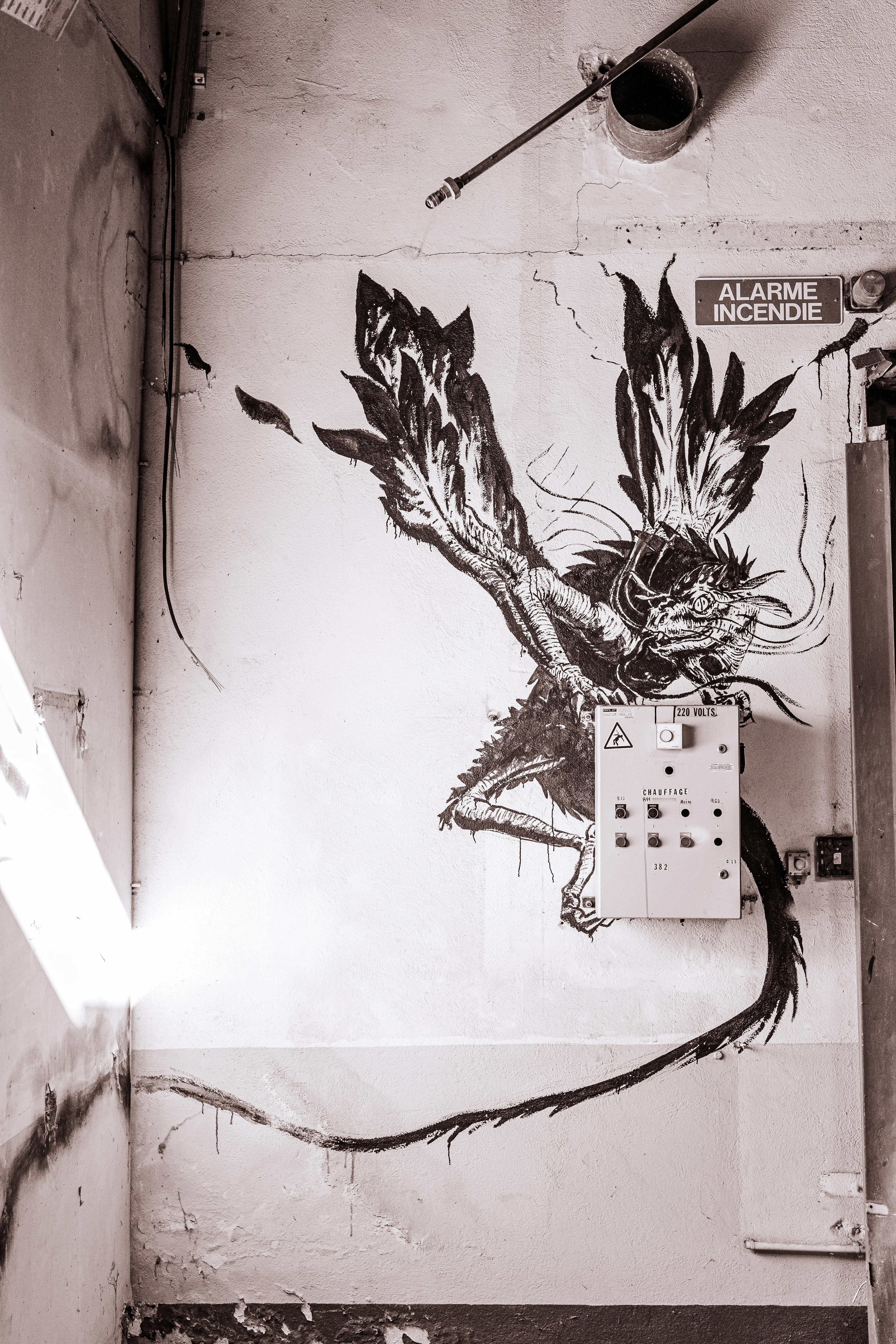Tag dragon Noir et Blanc